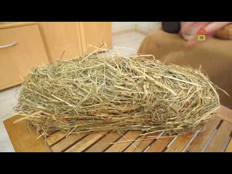 Видео: "Дачный ответ" от 27.05.2018, "Глиняная гостиная"