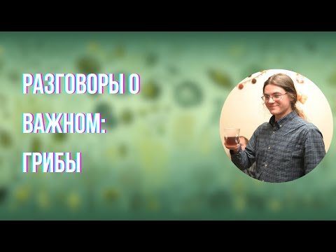 Видео: О самом главном и жизненных циклах: Грибы | Евгений Губанов