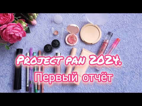 Видео: PROJECT PAN 2024. Первый отчёт.