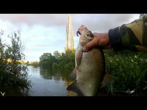 Видео: Рыбалка в штормовой погоде, 