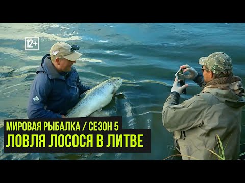 Видео: Ловля лосося в Литве / Мировая рыбалка #5 / #15