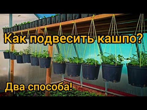 Видео: Как подвесить кашпо? Два способа!