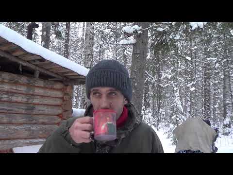 Видео: Один в тайге. Жизнь в лесу. Пришлось ночевать в тайге.