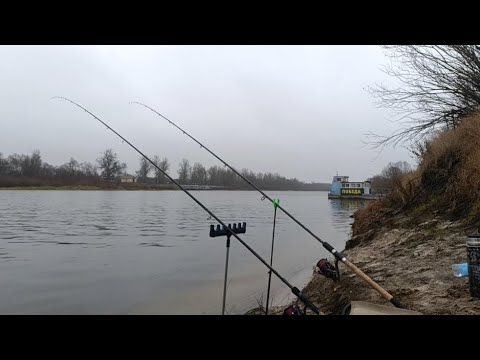 Видео: РЫБАЛКА НА ФИДЕР 8ГО ДЕКАБРЯ  ЗИМНИЙ РЫБ