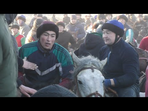 Видео: Карим Ажынын улагы/ Баш байге Манаска буйруду (3-болум)