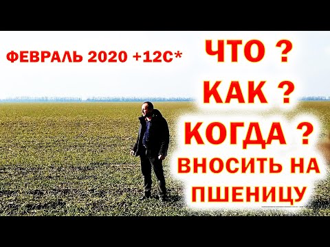 Видео: " Коли вносить карбамід, бризкати фунгіцидом і гербіцидом？"