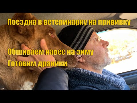 Видео: #62 Съездили в ветклинику. Обшиваем навес. Готовим картофельные драники.