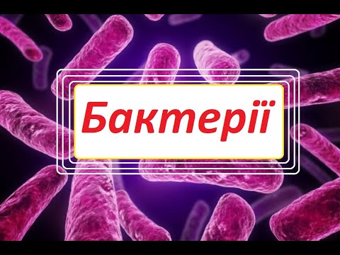 Видео: Особливості будови та процесів життєдіяльності бактерій