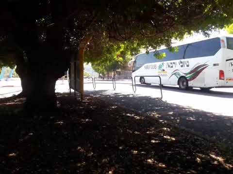 Видео: Женщины в Израиле-есть ли проблема познакомиться?