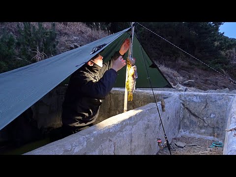 Видео: Соло кемпинг и рыбалка, едят то, что я поймаю