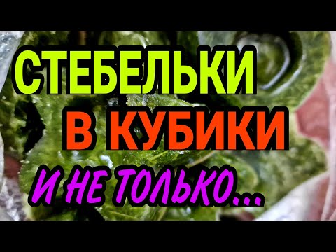 Видео: Стебли укропа- вкусно и просто.