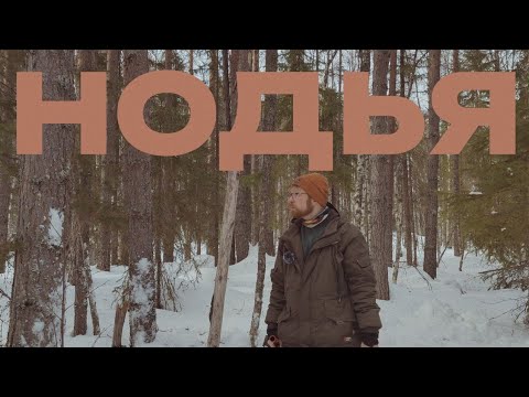 Видео: Ночь в зимнем лесу без палатки | Постройка укрытия и таёжный костёр нодья.