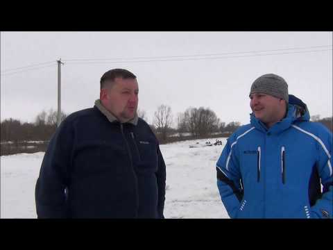 Видео: Крупный серый гусь в хозяйстве у Станислава