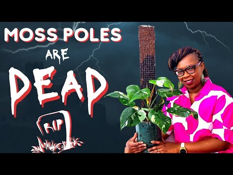 Видео: Как сделать шест из волокон древовидного папоротника и мха