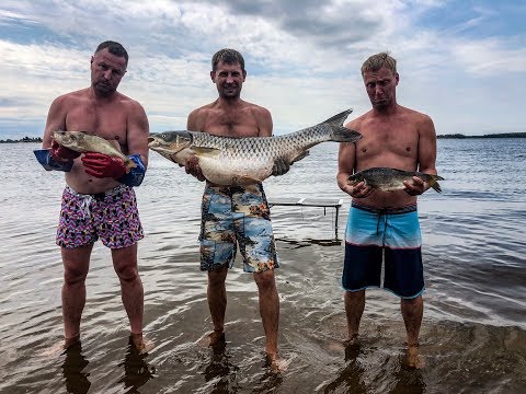Видео: Волга. Самара. Подводная охота на Васильевских островах.