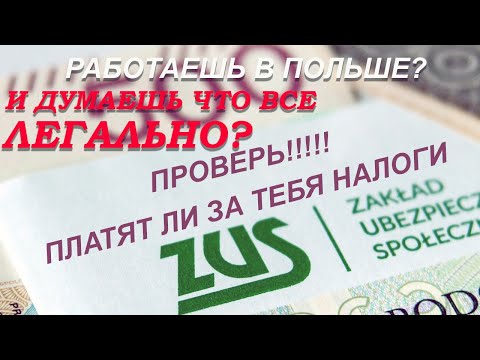 Видео: Платят ли за тебя налоги ZUS в Польше? Как проверить?