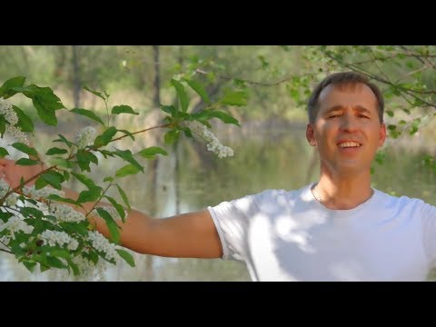 Видео: Ринас  Шигапов - Шомырт Чәчәк атканда"