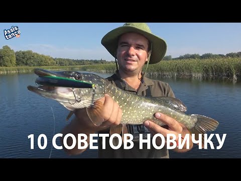 Видео: Десятка основных советов новичку по хищной рыбе на спининг