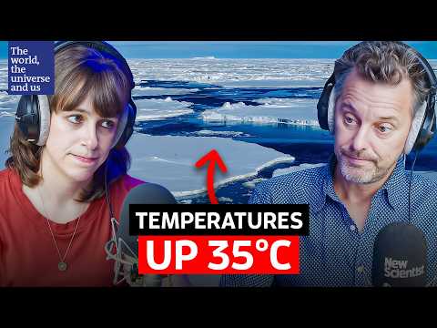 Видео: Почему учёные в ужасе от происходящего в Антарктиде