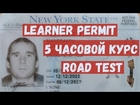 Видео: КАК ПОЛУЧИТЬ ПРАВА В США | DRIVER LICENSE