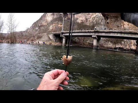 Видео: Риболов с болонеза на река Искър 03.01.2024 г.
