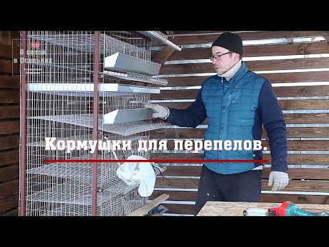 Видео: Кормушки для перепелов.