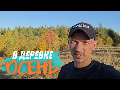 Видео: Убираем индюков I Кормим пчёл I Осень в деревне