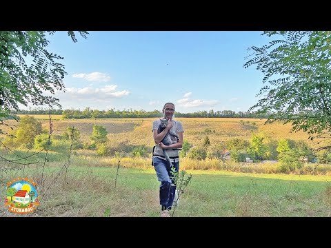 Видео: ГОРЯЧАЯ ПОРА В ДЕРЕВНЕ / Наполняем погреб