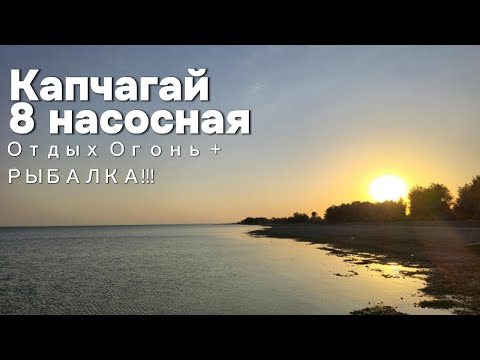 Видео: КАПЧАГАЙ 8 насосная!!! Команда КАРПУШОНОК на отдыхе!!!