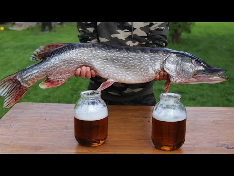 Видео: ТАКУЮ ЩУКУ ВЫ НЕ ЗАБУДЕТЕ НИКОГДА. РЫБА К ПИВУ В КАЗАНЕ