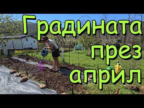 Видео: Пролетна работа в градината през април. Нова леха, стъпала, пътеки и мрежа против градушка.