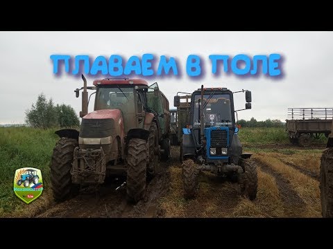 Видео: Техника на пределе плаваем в поле. Заготовка кормов.