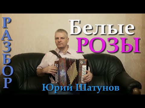 Видео: Белые розы.♥ Разбор на гармони. Николай Гарбузов