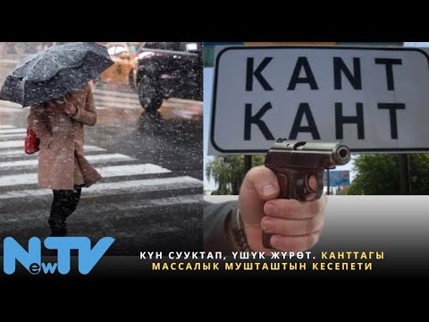 Видео: Күн сууктап, үшүк жүрөт. Канттагы массалык мушташтын кесепети