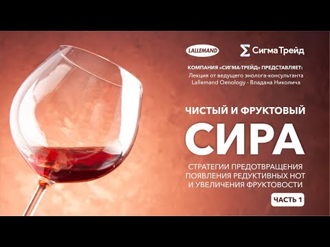 Видео: Чистый и фруктовый Сира. Часть 1