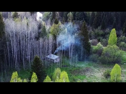 Видео: В Тайге. Запекли их в Костре и съели!!!
