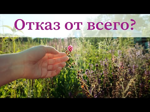 Видео: Что такое МИНИМАЛИЗМ?