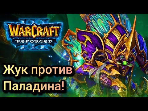 Видео: Жук против Паладина! Happy [Ud] vs Fortitude [Hum] Warcraft 3 Reforged