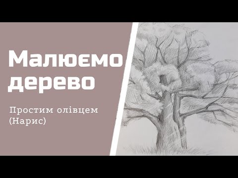 Видео: малюнок дерева простим олівцем (нарис)