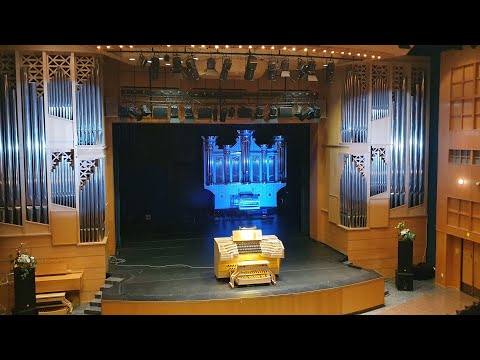 Видео: Органы Дворца Искусств в Кондопоге, Карельская филармония