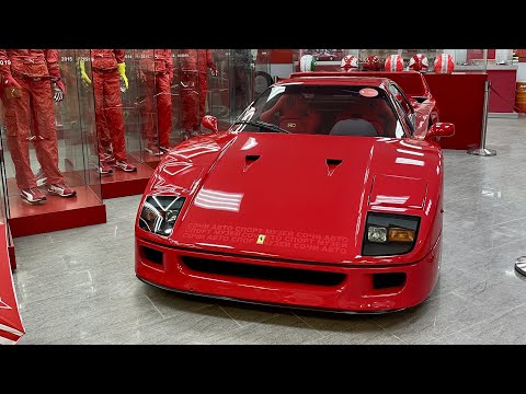 Видео: Ferrari F40 в ЦЕНТРЕ СОЧИ! Автомузей Ника Панули!