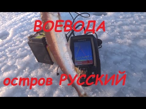 Видео: Воевода остров Русский навага 2020