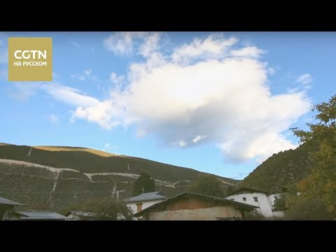 Видео: Китай на кончике языка Серия 5 Секреты китайской кухни Часть 1[Age0+]