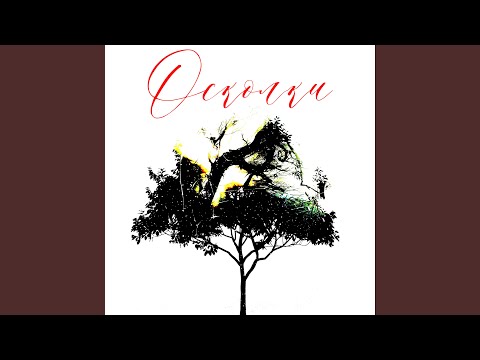 Видео: Осколки