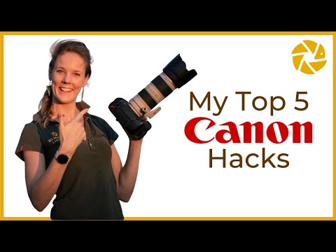 Видео: Лайфхаки для фотографов дикой природы с камерой CANON