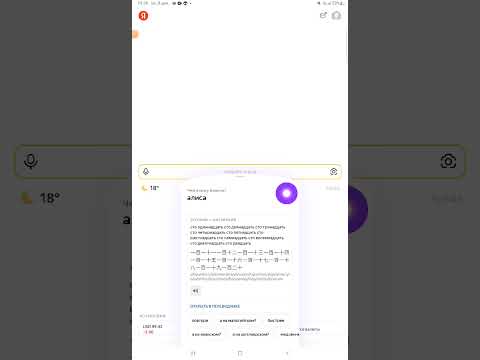 Видео: 8 декабря 2024 г.