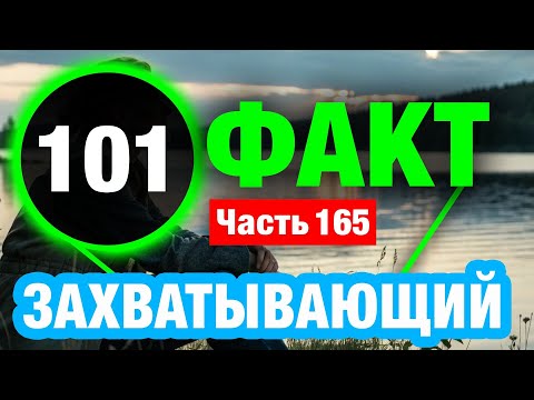 Видео: 105 Фактов, До Которых Вы Никогда Не Додумались Бы Сами