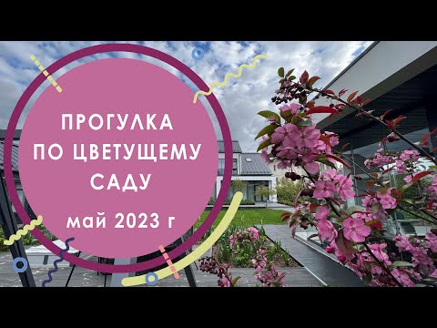 Видео: Прогулка по цветущему саду на 25 сотках в Миллениум Парк.  Май 2023 г.