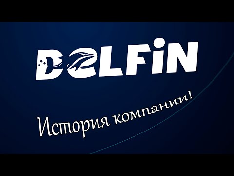 Видео: История успеха DELFiN: Как мы создавали компанию от идеи до реальности!