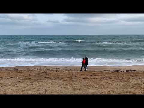 Видео: Урок-сканирование по методу Фельденкрайз